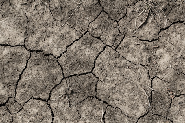 5-heldige-dage-i-henhold-til-horoskopet